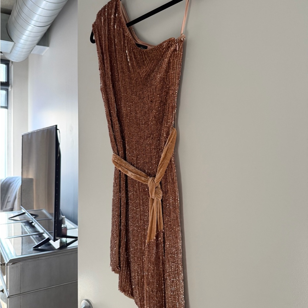 Retrofete One-Shoulder Tan Dress - Picture 4 of 11